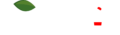Padazis White Logo